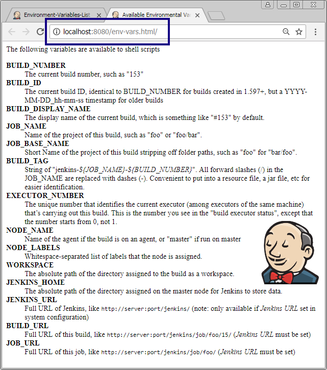 Jenkins Environment Variables